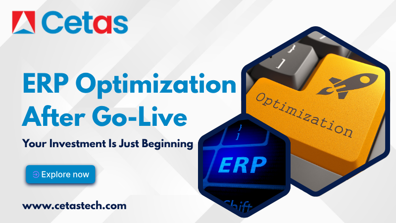 ERP Optimization After Go-Live: Your Investment Is Just Beginning