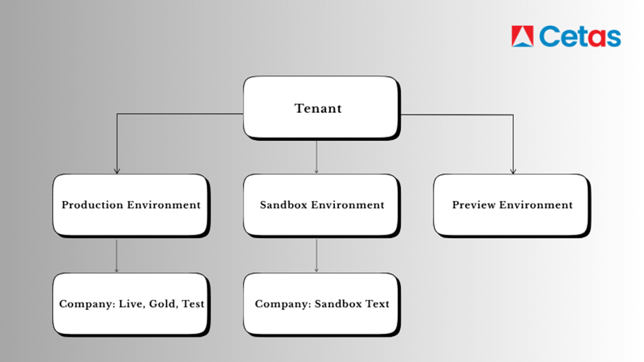 Business Central Environments